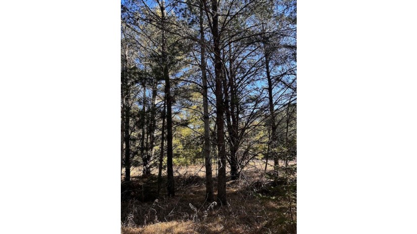 Lot 8 N Riverside Road Cable, WI 54821 by Edmunds Company, Llp $23,500