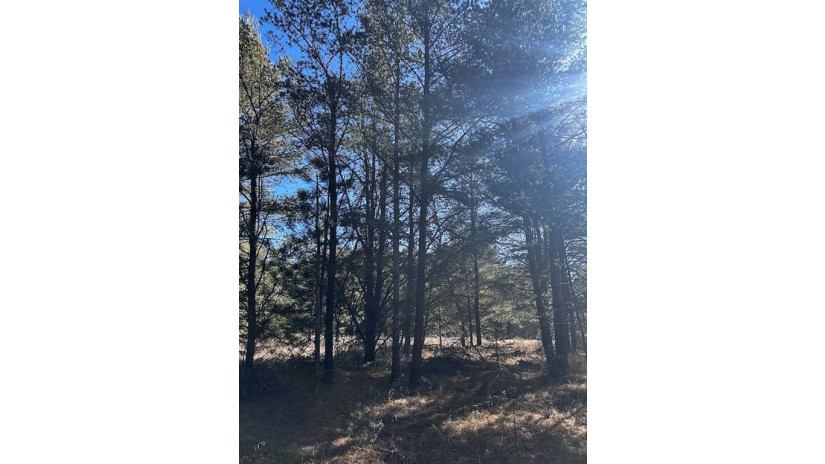 Lot 8 N Riverside Road Cable, WI 54821 by Edmunds Company, Llp $23,500