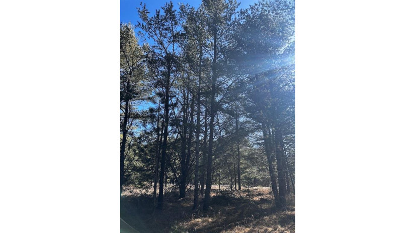 Lot 8 N Riverside Road Cable, WI 54821 by Edmunds Company, Llp $23,500