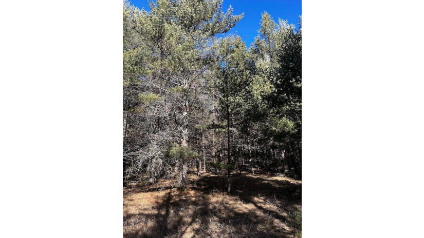 Lot 8 N Riverside Road Cable, WI 54821 by Edmunds Company, Llp $23,500