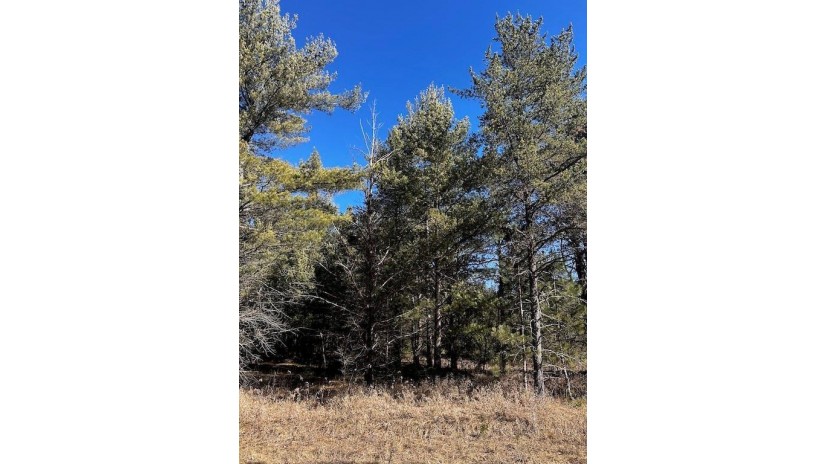 Lot 8 N Riverside Road Cable, WI 54821 by Edmunds Company, Llp $23,500