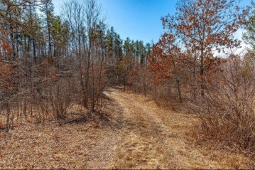 xxx 20 Acres Tranus Lake Road, Springbrook, WI 54875