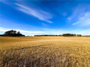 80 Acres On Thornapple Road, Ladysmith, WI 54848