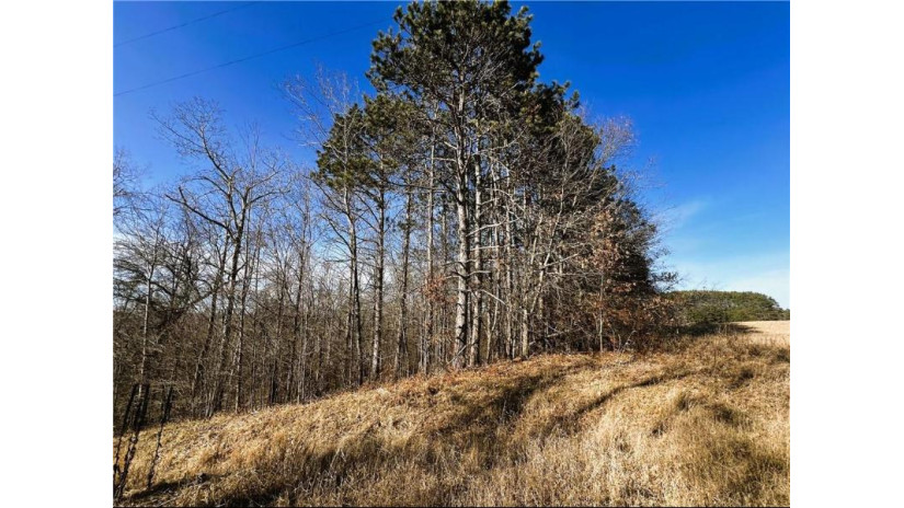 80 Acres On Thornapple Road Ladysmith, WI 54848 by Cb Northern Escape/Ladysmith $289,900