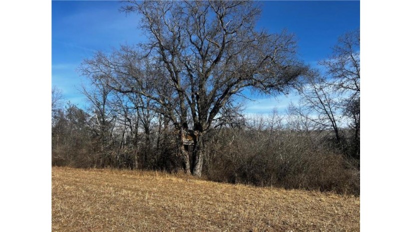 80 Acres On Thornapple Road Ladysmith, WI 54848 by Cb Northern Escape/Ladysmith $289,900