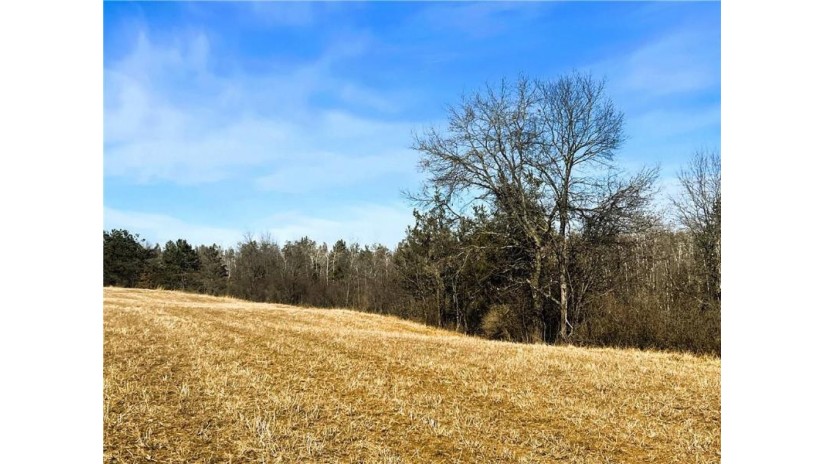 80 Acres On Thornapple Road Ladysmith, WI 54848 by Cb Northern Escape/Ladysmith $289,900