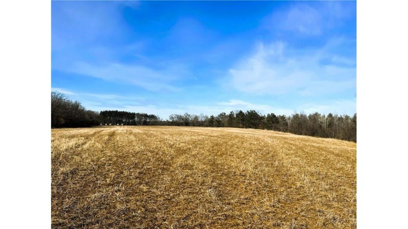 80 Acres On Thornapple Road Ladysmith, WI 54848 by Cb Northern Escape/Ladysmith $289,900