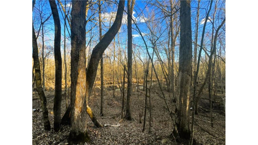 37.5 Acres On Thornapple Road Ladysmith, WI 54848 by Cb Northern Escape/Ladysmith $179,900