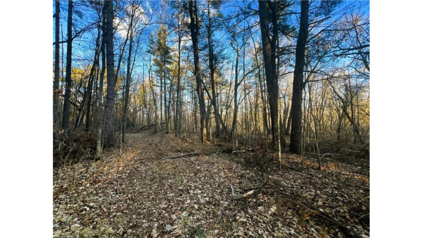 37.5 Acres On Thornapple Road Ladysmith, WI 54848 by Cb Northern Escape/Ladysmith $179,900