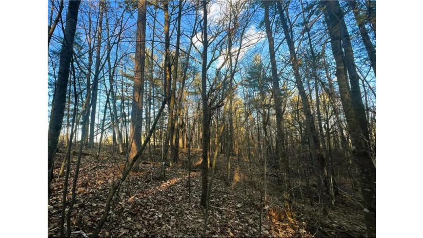 37.5 Acres On Thornapple Road Ladysmith, WI 54848 by Cb Northern Escape/Ladysmith $179,900