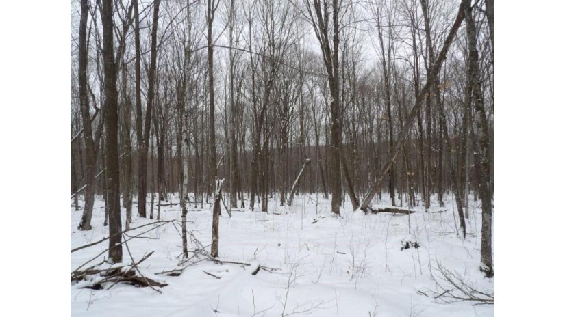 On Tower Rd Road Winter, WI 54896 by Birchland Realty Inc./Phillips $25,000