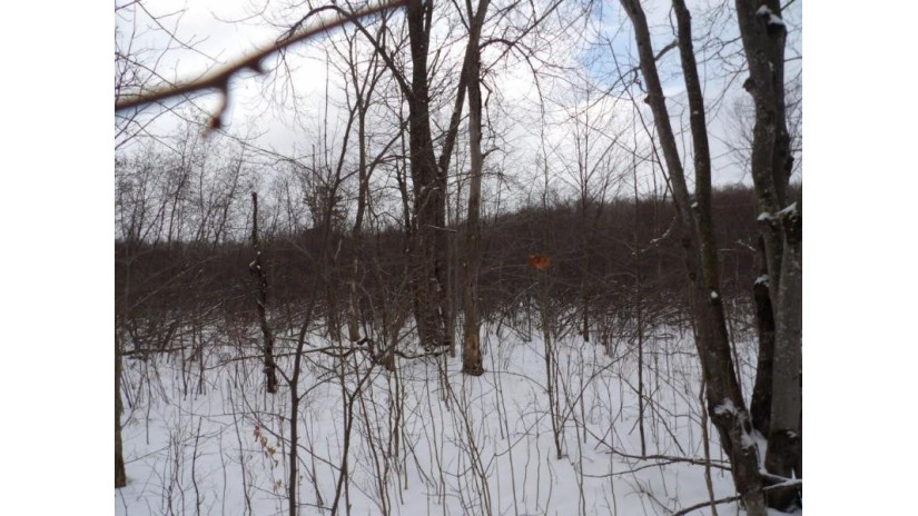 On Tower Rd Road Winter, WI 54896 by Birchland Realty Inc./Phillips $25,000