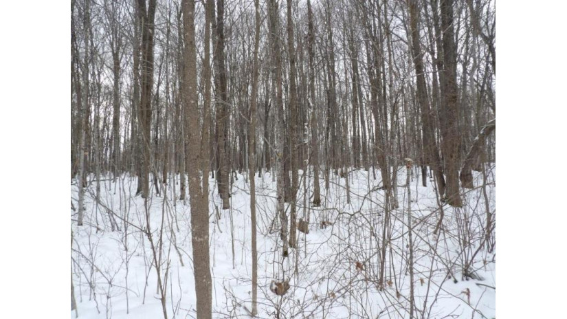 On Tower Rd Road Winter, WI 54896 by Birchland Realty Inc./Phillips $25,000