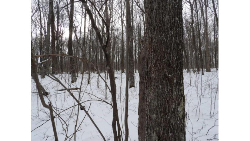 On Tower Rd Road Winter, WI 54896 by Birchland Realty Inc./Phillips $25,000