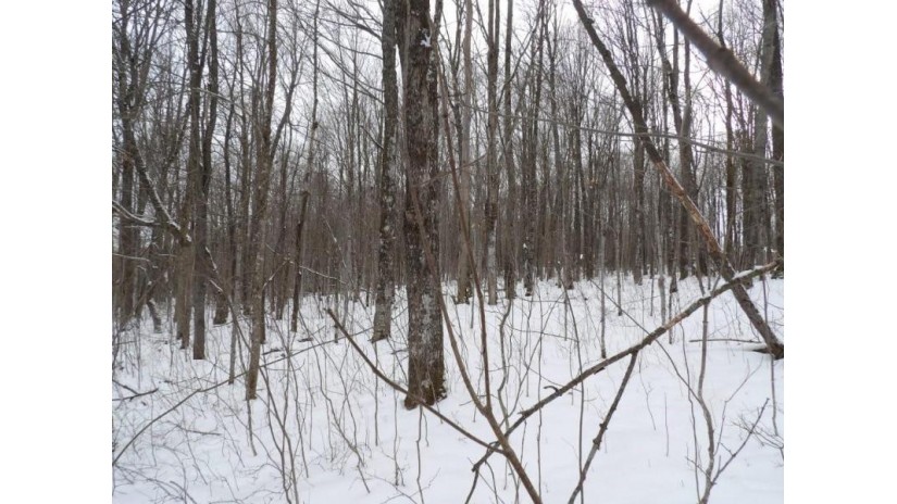 On Tower Rd Road Winter, WI 54896 by Birchland Realty Inc./Phillips $25,000