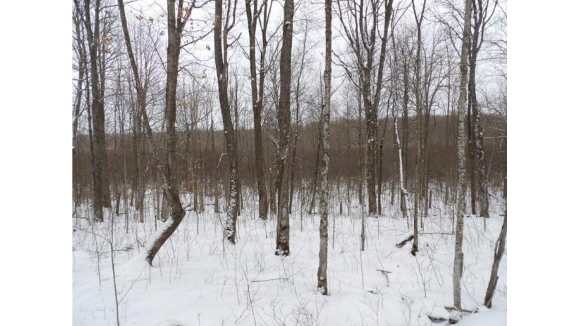 On Tower Rd Road Winter, WI 54896 by Birchland Realty Inc./Phillips $25,000