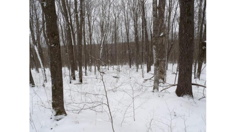 On Tower Rd Road Winter, WI 54896 by Birchland Realty Inc./Phillips $25,000