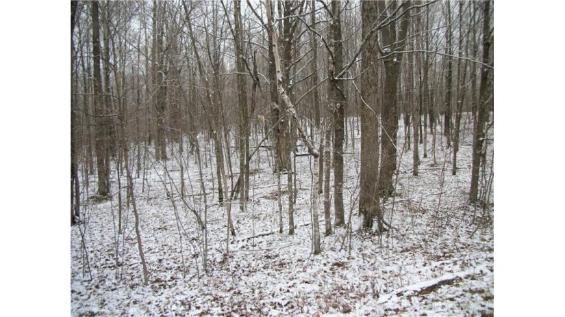 Lot #96 Woods Avenue Birchwood, WI 54817 by Dane Arthur Real Estate Agency/Birchwood $20,000