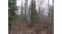 40 Acres Off Knapp Rd Winter, WI 54896 by Birchland Realty Inc./Phillips $69,900