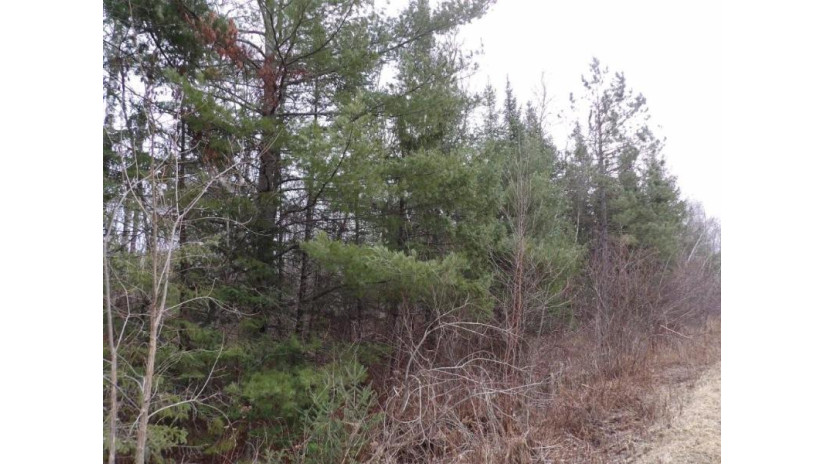 40 Acres Off Knapp Rd Winter, WI 54896 by Birchland Realty Inc./Phillips $69,900