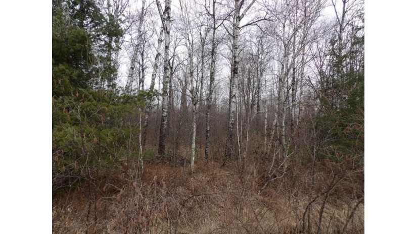 40 Acres Off Knapp Rd Winter, WI 54896 by Birchland Realty Inc./Phillips $69,900