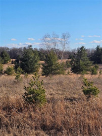 HWY A Oaks Of Rocky Ridge Lot 17, Spooner, WI 54801