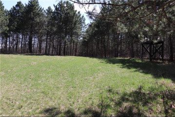 38.98 Acres Ryder Road, Osseo, WI 54758