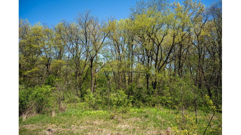 0 Green Rd. Harvard, IL 60033 by Whitetail Properties Real Estate Llc $299,000