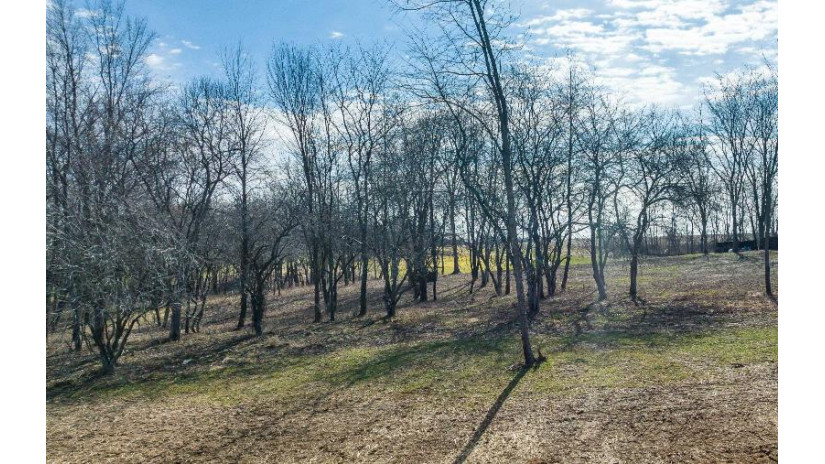 LOT 4 Galena Golf View Estates Phase II Galena, IL 61036 by Coldwell Banker Network Realty $72,500