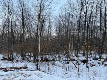 Maryann Court Lot 29, Brazeau, WI 54161