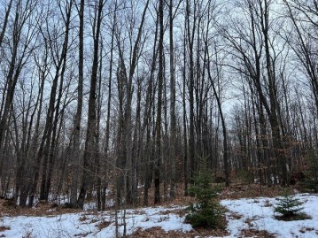 Maryann Court Lot 30, Brazeau, WI 54161