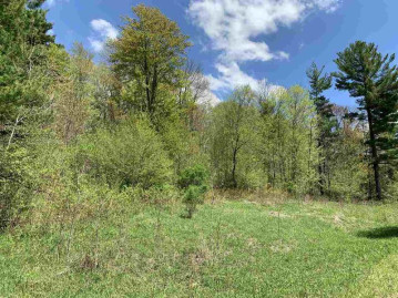 Lime Ridge Road Lot 31, Washington, WI 54166-0000