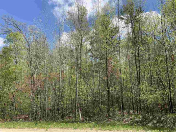 Oak View Drive Lot 18, Washington, WI 54166-0000