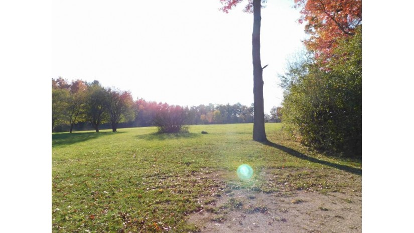 3223 Lost Dauphin Road Lot 1 Lawrence, WI 54115 by Mark D Olejniczak Realty, Inc. - Office: 920-432-1007 $699,900