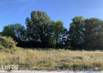 1724 Bobby Jones Drive Lot 39, Ledgeview, WI 54115