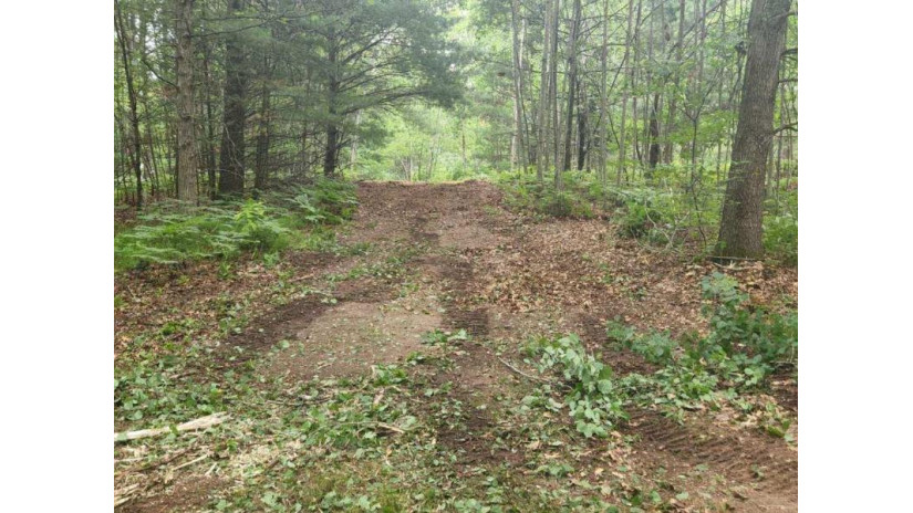 Hwy 180 Lot 1 Porterfield, WI 54159 by Broadway Real Estate $74,900