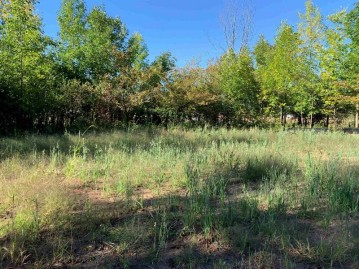 1621 Grace Garden Way Lot 1, Ledgeview, WI 54115