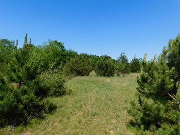 Eagle Lane Lot 56, Mecan, WI 53949