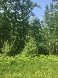 Stroika Lane Lot 5, Stephenson, WI 54114