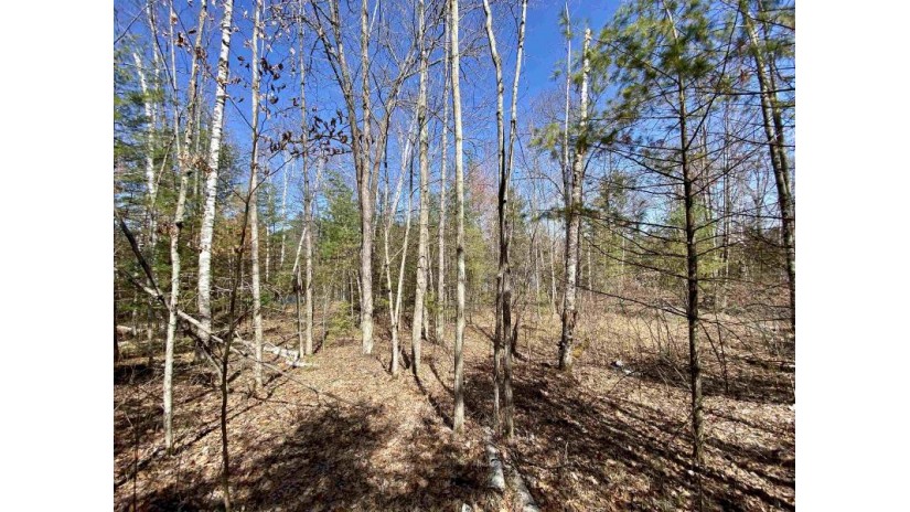 Menominee Shores Drive Lot 3 Wagner, WI 54177 by Bigwoods Realty, Inc. $67,900