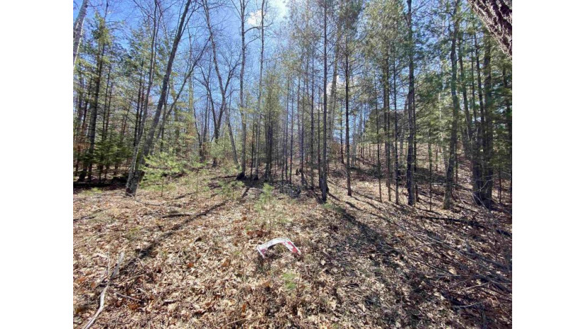 Menominee Shores Drive Lot 3 Wagner, WI 54177 by Bigwoods Realty, Inc. $67,900