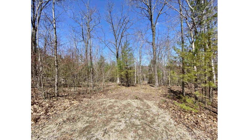 Menominee Shores Drive Lot 3 Wagner, WI 54177 by Bigwoods Realty, Inc. $67,900