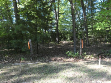 Loon Lake Circle Lot 3, Wescott, WI 54166