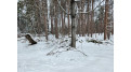 Pritchard Lane Lot 7 Riverview, WI 54114 by Shorewest Realtors $24,000