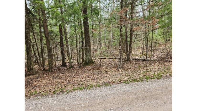 Pritchard Lane Lot 4 Riverview, WI 54114 by Shorewest Realtors $29,000