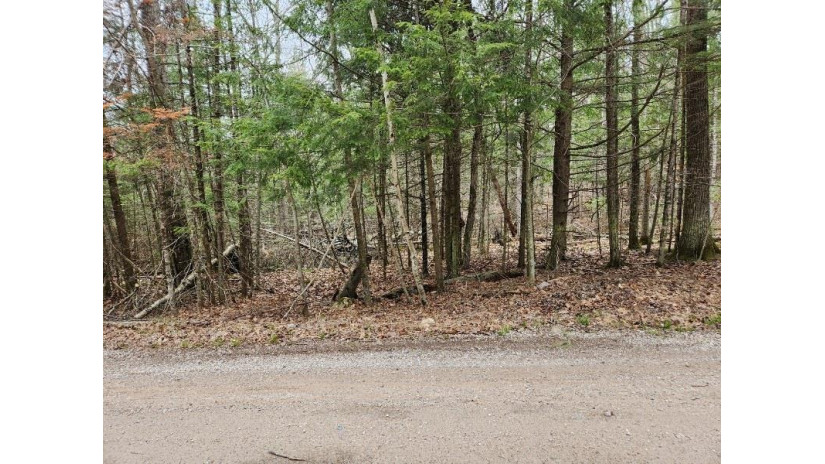 Pritchard Lane Lot 4 Riverview, WI 54114 by Shorewest Realtors $29,000