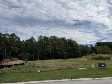 1663 Grace Garden Way Lot 6, Ledgeview, WI 54115