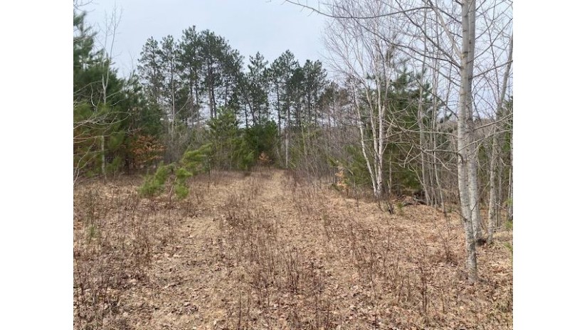 State Hwy 32 Riverview, WI 54149 by Northwoods Dream Real Estate Llc $85,000