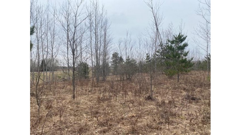 State Hwy 32 Riverview, WI 54149 by Northwoods Dream Real Estate Llc $85,000