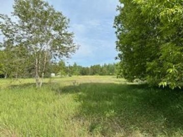 County Road 358, Daggett, MI 49821